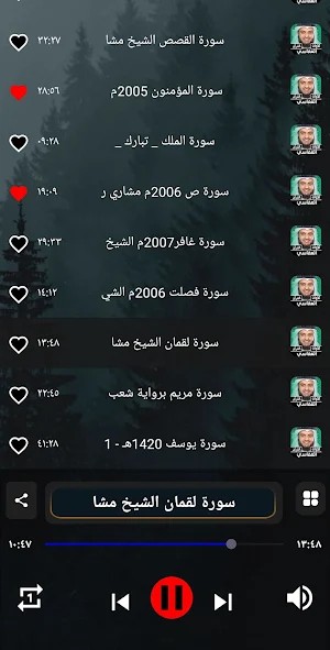 قران مشاري العفاسي | بدون نت Screenshot 1