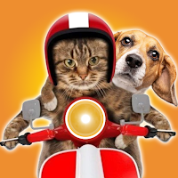 Pet Prank: Dog & Cat Fun Sound