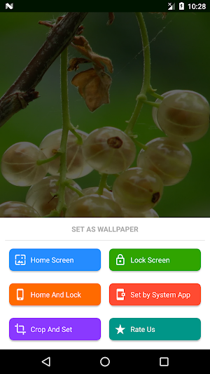 Fruit Wallpapers Screenshot 2