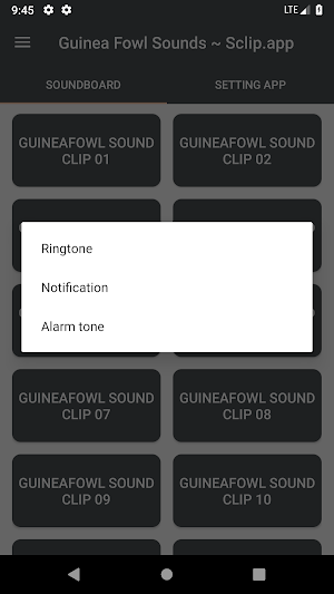 Guinea Fowl Sound Collections  Screenshot 2