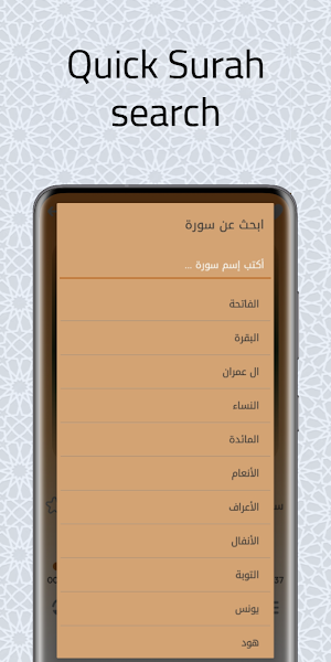 Quran Audio by Saad El-Ghamidi Screenshot 3