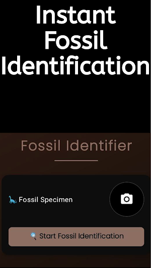 Fossil Id : Fossil Identifier Screenshot 1