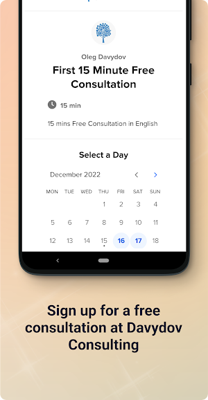 Davydov Consulting Screenshot 3
