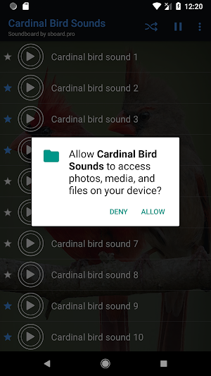 Cardinal Bird Sounds ~ Sboard.pro Screenshot 1