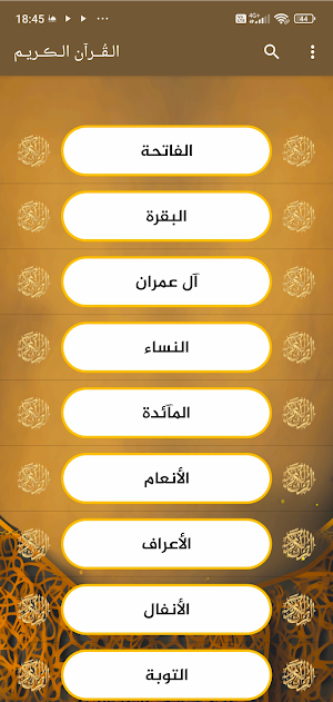 Al Menshawi Quran full Mp3 Screenshot 1