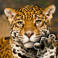 Animals Photo Jigsaw Puzzle