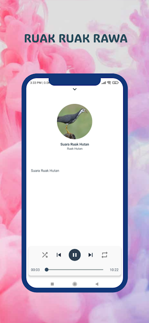 Pikat Burung Ruak Ruak Sawah Screenshot 2