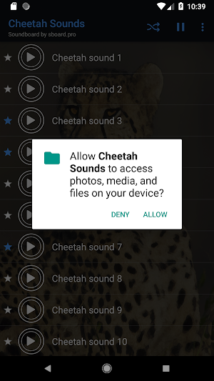 Cheetah (animal) sounds ~ Sboard.pro Screenshot 1