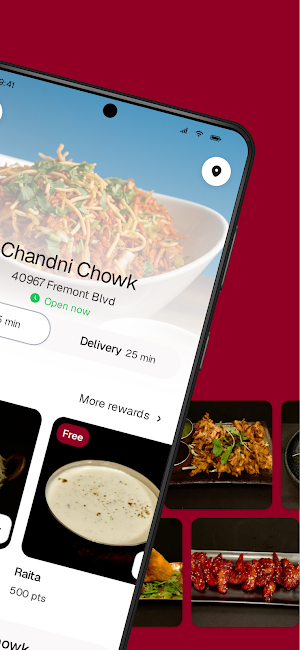 Chandni Chowk - Fremont Screenshot 1