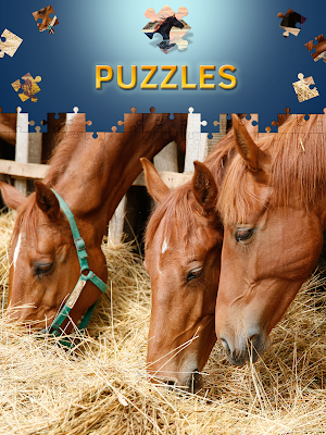 Horses Jigsaw Puzzles Free Screenshot 2