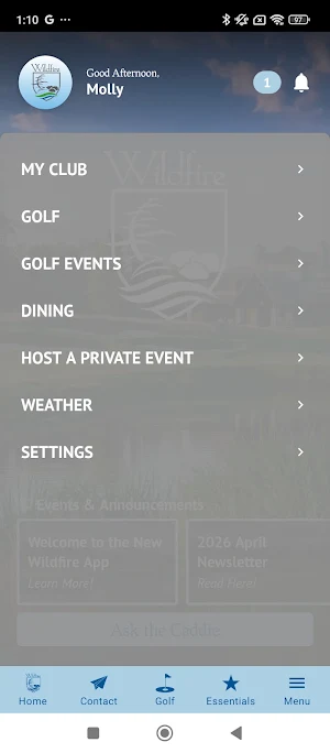 Wildfire GC Screenshot 1