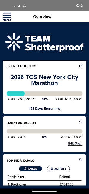 Shatterproof Fundraising Screenshot 2