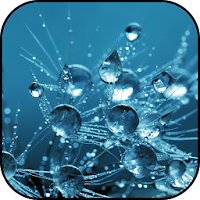 Drops wallpapers