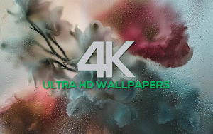 4K Wallpapers Pack Screenshot 3