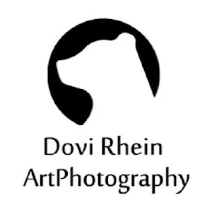 Dovi Rhein Screenshot 1
