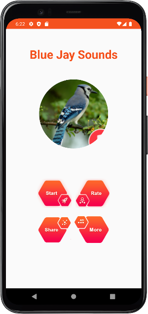 Blue Jay Sounds Screenshot 1