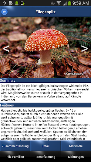 Pilz Id, Die Pilze Sammeln App Screenshot 2