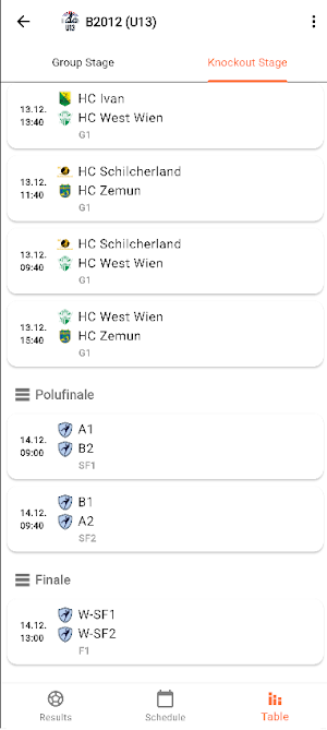 Vienna Handball Cup Screenshot 2