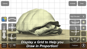 Tortoise Mannequin Screenshot 2