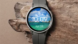 Paradise Delight - Watch Face Screenshot 3