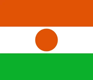 Niger Analog Watch Face Screenshot 2