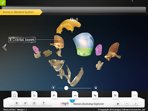 HumanAnatomy-SkeletalSystem Screenshot 2