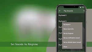 Pig Sounds Screenshot 3