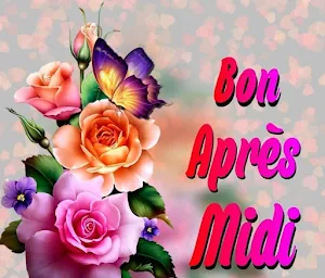 Bon après-midi Bonsoir Screenshot 2