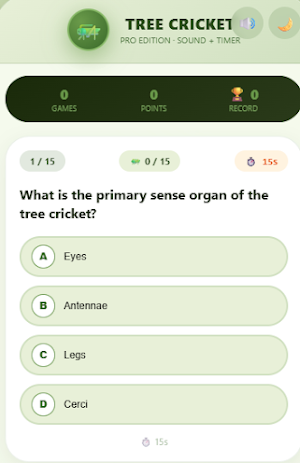Tree Cricket Quiz - Dragonia Screenshot 1