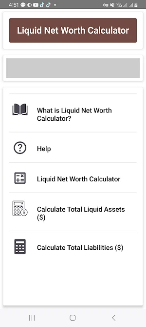 Liquid Net Worth Calculator Screenshot 0