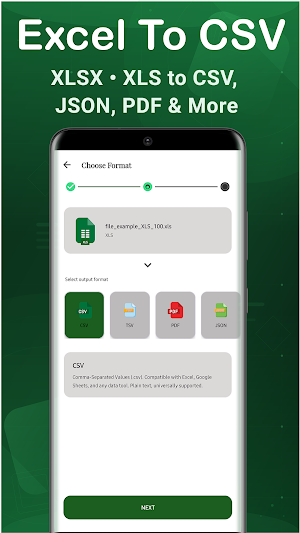 Excel to CSV & PDF Converter Screenshot 3
