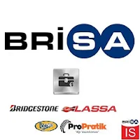 Brisa Saving Simulation