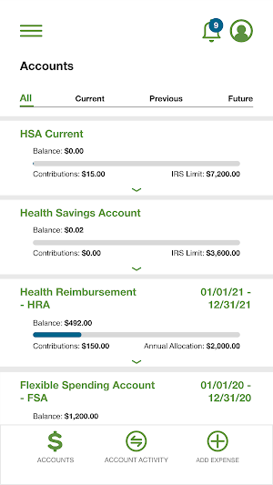 P&A Group HSA Screenshot 2