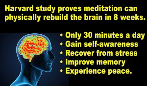 Qigong Meditation (YMAA) Dr.Yang, Jwing-Ming Screenshot 3