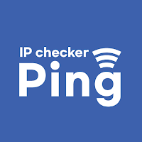 IP Address Checker & Ping Test