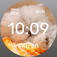 Little cat - Watch Face