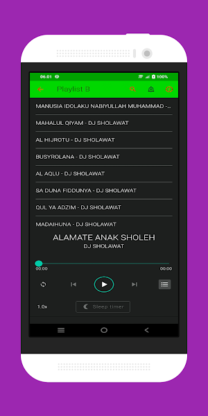 Dj sholawat viral Screenshot 1