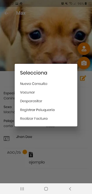 Veterinary Health Record Screenshot 3