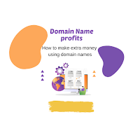 Domain Name Profits