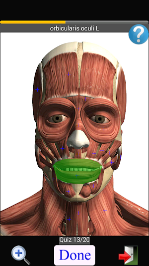 Anatomy Quiz Free Screenshot 1