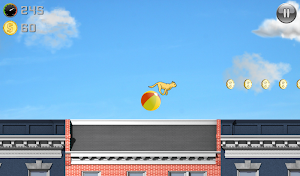 Run Cat Run Screenshot 2