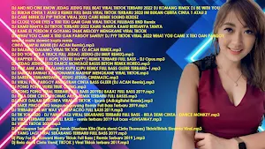 DJ-Nonstop Viral Offline 2024 Screenshot 0
