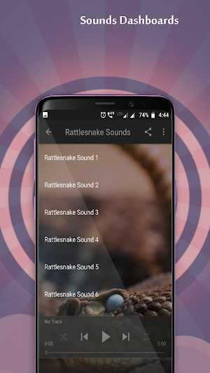 Rattlesnake Sounds Screenshot 3