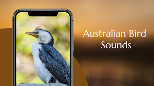 Australian Bird sounds Screenshot 1