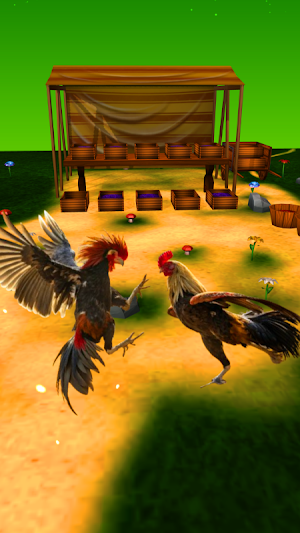 Village cock Fight Screenshot 1