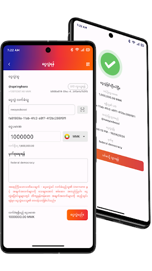 Spring Development Bank Screenshot 1