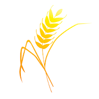 Fessenden Co-op Portal