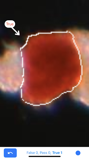 IsletSwipe Screenshot 3
