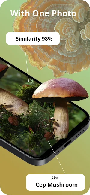 Picture Mushroom Screenshot 1
