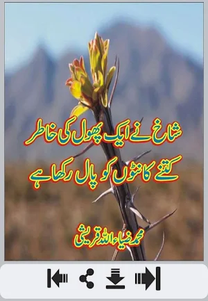 Phool Shayari Screenshot 0